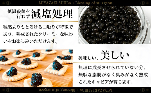 ã6åå®æäŸ¿ããèš³ããã åœç£ ãã£ã㢠HEIKE CAVIAR 10g à 6å èš60g ãäžçäžå€§çå³Ãæ¥æ¬äžå€§ç§å¢ã èš³ãã å®®åŽ æ€è åœç£ ãã§ãŠã¶ã¡ ãã£ãã¢ å®æäŸ¿ 宿 10g 60g 6å宿 éåµ åµ éä» çå³ å å·¥å å·å é«çŽ é«çŽé£æ èŽ
æ²¢ äžçäžå€§çå³ ãã€ãŸã¿ ã°ã«ã¡ ã®ãã ãã¬ãŒã³ã èŽç åžå° äººæ° ãããã éæç¡æ SZ-116_6teiki