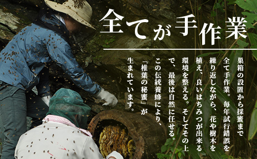 【秘境を味わう】【7営業日以内発送】椎葉の秘蜜 【150g×2本】国産天然はちみつ【数量限定】送料無料 宮崎県 椎葉村 秘境 蜂蜜 はちみつ ハチミツ みつばち ミツバチ 伝統的 養蜂 国産 天然 百花蜜 巣箱 数量限定 季節 希少 150g 300g【MS-08】