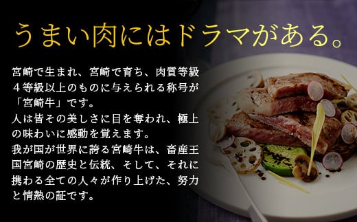 受賞歴多数!! ≪宮崎牛≫ お楽しみバラエティセット【合計3.2kg】【ステーキ・焼肉・すき焼き・しゃぶしゃぶ 】送料無料 宮崎県 椎葉村 秘境 国産 宮崎県産 ブランド牛 牛肉 牛 和牛 肉 ロース ヒレ 肩ロース モモ うで ばら スネ 牛丼 うまい 美味しい おすすめ おかず 多用途 ギフト 贈り物 プレゼント 祝い パーティー 誕生日 記念日 お土産 敬老 お中元 お歳暮【MT-60】