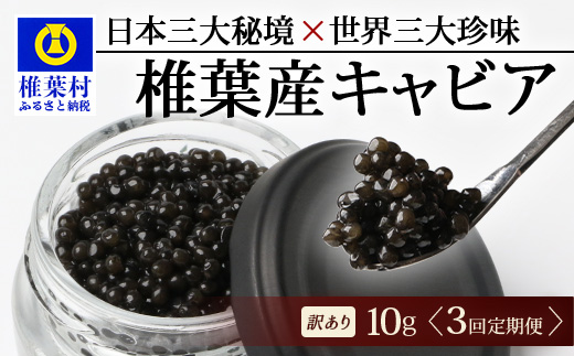 【3回定期便】【訳あり】 国産 キャビア HEIKE CAVIAR  10g × 3回 計30g 【世界三大珍味×日本三大秘境】［ 訳あり 宮崎 椎葉 国産 チョウザメ キャビア 定期便 定期 10g 30g 3回定期 魚卵 卵 魚介 珍味 加工品 冷凍 高級 高級食材 贅沢 世界三大珍味 おつまみ グルメ ギフト プレゼント 贈答 希少 人気 おすすめ 送料無料 ］SZ-116_3teiki
