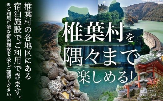 椎葉村共通宿泊割引券　3,000円分