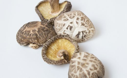 【厳選】椎葉産 干し椎茸 170g 【生産者大会4年連続優勝】［送料無料 宮崎県産 国産 原木椎茸 原木 椎茸 シイタケ しいたけ 乾しいたけ 干し椎茸 原木栽培 産地直送 乾物 きのこ グアニル酸 ビタミンD おすすめ 栄養 美容 食物繊維 煮物 みそ汁 汁もの ダシ 出汁 お鍋 鍋 特産品 ご当地 お取り寄せ 大容量 調味料 ギフト 贈物 プレゼント お中元 お歳暮 化粧箱入］【JA-21】