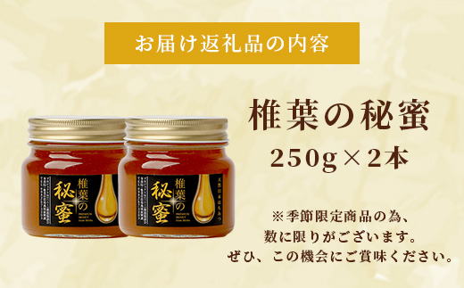 【秘境を味わう】【7営業日以内発送】椎葉の秘蜜 【250g×2本】国産天然はちみつ【数量限定】送料無料 宮崎県 椎葉村 秘境 蜂蜜 はちみつ ハチミツ みつばち ミツバチ 伝統的 養蜂 国産 天然 百花蜜 巣箱 数量限定 季節 希少 250g 500g 【MS-06】