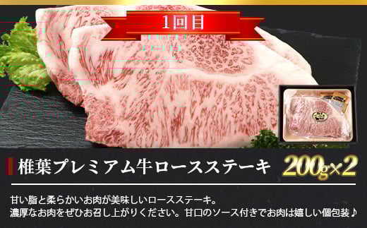 【定期便2回】総重量800g 椎葉プレミアム牛ステーキ定期便≪サーロインステーキ・ロースステーキ≫［宮崎県 椎葉村 国産 国産牛 黒毛和牛 和牛 牛 牛肉 赤身 にく おにく 肉 お肉 ステーキ サーロイン やきにく 焼肉 バーベキュー 冷凍 ごちそう 贈物 日本三大秘境］【TK-61】