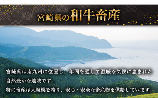 宮崎県産 和牛切り落とし 900g ×2（1,800g） ［送料無料 宮崎県 椎葉村 国産 国産牛 精肉 和牛 牛 牛肉 赤身 にく おにく 肉 お肉 すきやき すき焼き カレー 冷凍 ごちそう 贈物 おすすめ 人気］ TK-99