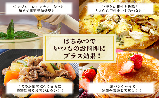 【無添加 非加熱】標高800m たっちゃんのこだわり蜂蜜【170g×1本】(送料無料 宮崎県 椎葉村 秘境 蜂蜜 はちみつ ハチミツ みつばち ミツバチ 伝統的 養蜂 国産 天然 百花蜜 巣箱 数量限定 季節 希少 170g 防災 備蓄) TN-04