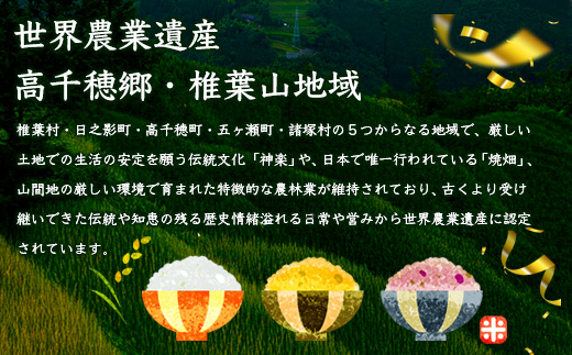 【6回定期便】【雑穀米】藤の花色に染まる美しい六穀米《藤六穀》300g×2袋 6回配送【世界農業遺産 高千穂郷・椎葉山地域】送料無料 定期便 定期 保存食 非常食 米 お米 ご飯 ご当地 贈り物 手土産 お土産 挨拶 祝い ギフト 父 母 栄養 健康 うるち米 たかきび 挽割とうもろこし もちあわ もち麦 黒米【TT-15】