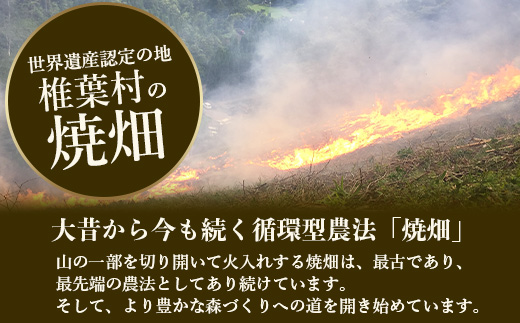 【世界農業遺産の産物】焼畑農家がつくったよもぎ茶 ティーバック【野草茶】［送料無料 宮崎 椎葉 よもぎ茶 ヨモギ茶 蓬茶 よもぎ ヨモギ 蓬 天然よもぎ 天然100％ 茶 お茶 ティー ティーパック 健康 手作り 自然 ギフト お土産 贈物 敬老の日 日本三大秘境 秘境 焼畑 やきはた］【YS-25】
