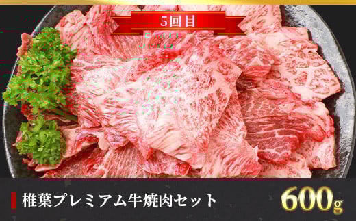 ãå®æäŸ¿6åãç·éé3.1kg æ€èãã¬ãã¢ã çæºå«å®æäŸ¿âªã¹ããŒãã»ããçŒãã»ããã¶ããã¶ã»çŒãèâ«ïŒ»å®®åŽç æ€èæ åœç£ åœç£ç 黿¯åç åç ç çè 赀身 ã«ã ãã«ã è ãè ã¹ããŒã ãããã ããçŒã ããã¶ããã¶ ããã«ã çŒè ããŒããã¥ãŒ å·å ãã¡ãã èŽç© æ¥æ¬äžå€§ç§å¢ïŒœãTK-56ã