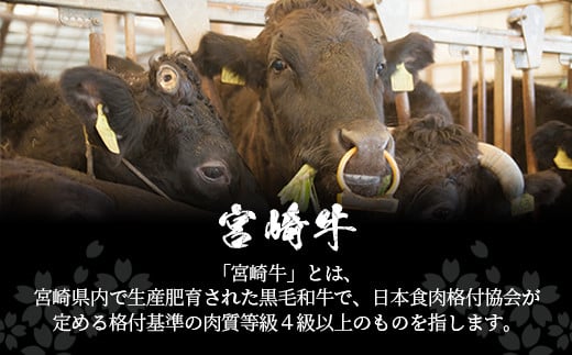 【定期便 6回】受賞歴多数!! 宮崎牛を6ヶ月で合計3.25キロ 宮崎牛づくし【送料無料 宮崎県 椎葉村 秘境 国産 宮崎県産 ブランド牛 牛肉 牛 和牛 肉 肩ロース ばら うで もも すき焼き 焼肉 焼き肉 BBQ アウトドア キャンプ 牛丼 うまい 美味しい おすすめ おかず 多用途 ギフト 贈り物 プレゼント 祝い パーティー 誕生日 記念日 お土産 敬老 お中元 お歳暮】【MT-38】