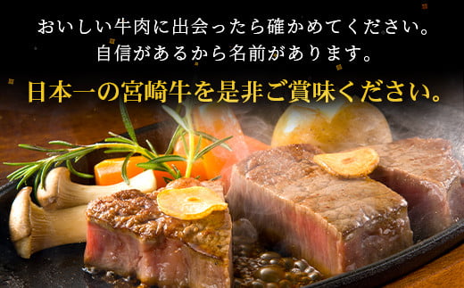 受賞歴多数!! ≪宮崎牛≫ お楽しみバラエティセット【合計3.2kg】【ステーキ・焼肉・すき焼き・しゃぶしゃぶ 】送料無料 宮崎県 椎葉村 秘境 国産 宮崎県産 ブランド牛 牛肉 牛 和牛 肉 ロース ヒレ 肩ロース モモ うで ばら スネ 牛丼 うまい 美味しい おすすめ おかず 多用途 ギフト 贈り物 プレゼント 祝い パーティー 誕生日 記念日 お土産 敬老 お中元 お歳暮【MT-60】