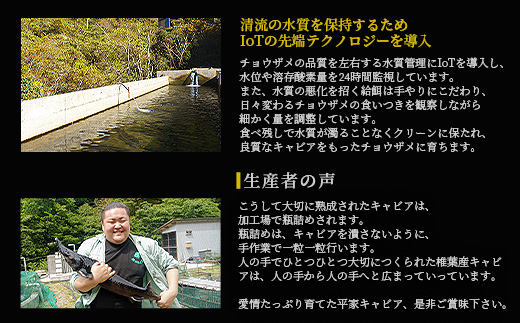 【世界三大珍味×日本三大秘境】HEIKE CAVIAR  金柑キャビア 20g 国産【産地直送】【簡易包装】［宮崎 椎葉 国産 ちょうざめ チョウザメ 金柑 きゃびあ キャビア 20g 魚卵 卵 魚介 珍味 加工品 冷凍 高級 贅沢品 パーティー おつまみ グルメ ギフト 記念日 誕生日 プレゼント お祝い 贈り物 贈答 桐箱 希少］【SZ-127】