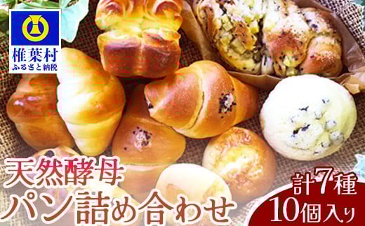 【秘境・椎葉村の愛されパン屋さん】 天然酵母パン 詰め合わせ 7種10個セット【送料無料 パン 冷凍 お取り寄せ 天然 酵母 詰め合せ セット 低温 長時間熟成 メロンパン あん塩 バターロール おさつ ブレッド デニッシュ ミニ食パン レーズン バターロール マヨ 朝食 手土産 手作り 保存食】【NF-26】