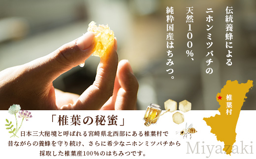 【秘境を味わう】【7営業日以内発送】椎葉の秘蜜 【250g×4本】国産天然はちみつ【数量限定】送料無料 宮崎県 椎葉村 秘境 蜂蜜 はちみつ ハチミツ みつばち ミツバチ 伝統的 養蜂 国産 天然 百花蜜 巣箱 数量限定 季節 希少 250g 1000g 1kg【MS-07】