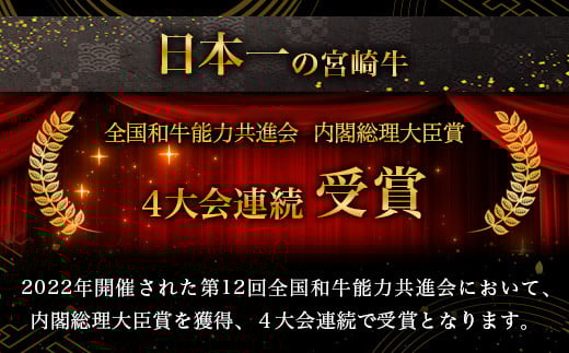 宮崎牛 焼肉セット 600g TK-97 [宮崎県 椎葉村 宮崎牛 和牛 黒毛和牛 牛肉 ぎゅうにく 牛 うし ぎゅう 肉 お肉 にく おにく 焼き肉 焼肉 やきにく 精肉 もも モモ肉 バラ バラ肉 600g 人気 おすすめ 送料無料]