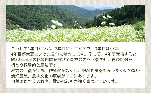 椎葉村の焼畑農家がつくった 山桑の葉クッキー【手づくりの焼菓子】［送料無料 宮崎県 椎葉村 椎葉 日本三大秘境 秘境 焼畑 やきはた くっきー クッキー 山桑 山桑の葉 山桑の葉クッキー おやつ おかし 菓子 お菓子 焼き菓子 無添加 手作り 自然 ギフト お土産］【YS-35】