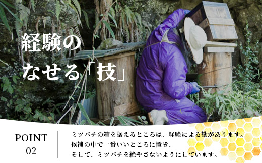 【無添加 非加熱】標高800m たっちゃんのこだわり蜂蜜【170g×1本】(送料無料 宮崎県 椎葉村 秘境 蜂蜜 はちみつ ハチミツ みつばち ミツバチ 伝統的 養蜂 国産 天然 百花蜜 巣箱 数量限定 季節 希少 170g 防災 備蓄) TN-04