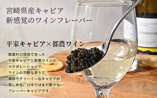 【世界三大珍味×日本三大秘境】HEIKE CAVIAR  ワインキャビア 20g【産地直送】【簡易包装】［宮崎 椎葉 国産 ちょうざめ チョウザメ きゃびあ キャビア 5g 魚卵 卵 魚介 珍味 加工品 冷凍 高級 贅沢品 ディナー パーティー おつまみ グルメ ギフト 記念日 誕生日 プレゼント お祝い 贈り物 贈答品 桐箱 希少］【SZ-128】