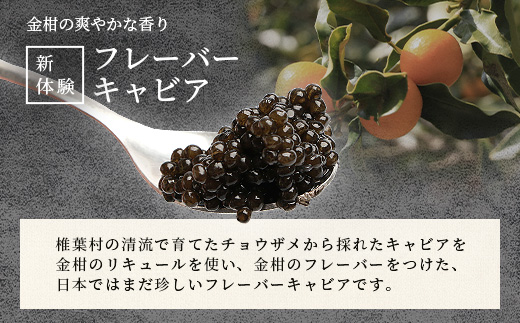 【世界三大珍味×日本三大秘境】HEIKE CAVIAR  金柑キャビア 20g 国産【産地直送】【簡易包装】［宮崎 椎葉 国産 ちょうざめ チョウザメ 金柑 きゃびあ キャビア 20g 魚卵 卵 魚介 珍味 加工品 冷凍 高級 贅沢品 パーティー おつまみ グルメ ギフト 記念日 誕生日 プレゼント お祝い 贈り物 贈答 桐箱 希少］【SZ-127】