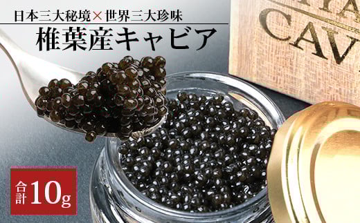 【桐箱入り】HEIKE CAVIAR 10ｇ フレッシュキャビア【世界三大珍味×日本三大秘境】［宮崎 椎葉 国産 ちょうざめ チョウザメ きゃびあ キャビア 10g 魚卵 卵 お酒 魚介 珍味 加工品 冷凍 高級 贅沢 グルメ ディナー パーティー おつまみ ギフト 記念日 誕生日 プレゼント お祝い 贈り物 贈答 贈答品 桐箱 希少］【SZ-102】