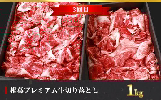 ãå®æäŸ¿6åãç·éé3.1kg æ€èãã¬ãã¢ã çæºå«å®æäŸ¿âªã¹ããŒãã»ããçŒãã»ããã¶ããã¶ã»çŒãèâ«ïŒ»å®®åŽç æ€èæ åœç£ åœç£ç 黿¯åç åç ç çè 赀身 ã«ã ãã«ã è ãè ã¹ããŒã ãããã ããçŒã ããã¶ããã¶ ããã«ã çŒè ããŒããã¥ãŒ å·å ãã¡ãã èŽç© æ¥æ¬äžå€§ç§å¢ïŒœãTK-56ã