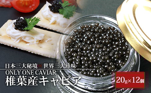 HEIKE CAVIAR 20ｇ×12箱 【合計240g】【世界三大珍味×日本三大秘境】［宮崎 椎葉 国産 ちょうざめ チョウザメ きゃびあ キャビア 魚卵 卵 魚介 珍味 加工品 冷凍 高級 高級品 贅沢 贅沢品 ディナー パーティー おつまみ グルメ ギフト 記念日 誕生日 プレゼント お祝い 贈り物 贈答 桐箱 希少］【SZ-114】