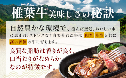 【 定期便 全3回 】 月に1回のお楽しみ！ 椎葉牛ステーキ定期便 総重量 1,080g 【 日本三大秘境 椎葉村 育ちの黒毛和牛 】[ 牛肉 ステーキ 定期便 定期配送 肉 牛ヒレ ヒレ肉 ロース サーロイン A5等級指定 黒毛和牛 ブランド牛 A5ランク おすすめ 送料無料 ] TK-102