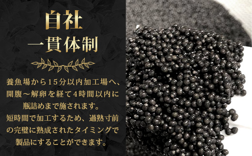 【3回定期便】【訳あり】 国産 キャビア HEIKE CAVIAR  10g × 3回 計30g 【世界三大珍味×日本三大秘境】［ 訳あり 宮崎 椎葉 国産 チョウザメ キャビア 定期便 定期 10g 30g 3回定期 魚卵 卵 魚介 珍味 加工品 冷凍 高級 高級食材 贅沢 世界三大珍味 おつまみ グルメ ギフト プレゼント 贈答 希少 人気 おすすめ 送料無料 ］SZ-116_3teiki