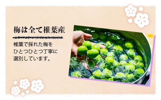 æ€èæç£æ¢
äœ¿çš æ¢
é
ãå§«äŒèª¬ã720mlÃ12æ¬ã»ãã éæç¡æ å®®åŽ æ€è ãããã
ãŠã¡ã·ã¥ æ¢
é
ãã ãŠã¡ æ¢
ãã ããã é
ãé
é£åé
ãã¶ãŒãé
å¥³æ§ ãããã èªçæ¥ç¥ã ãæ³æ® ãç¥ã 12æ¬ èŽç© ã®ãã ãã¬ãŒã³ããSN-09ã