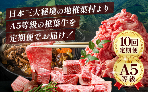 【 定期便 全10回 】 10ヶ月連続でお届け！ 牛肉 オール椎葉牛大満足セット 総重量 5,180g 【 日本三大秘境 椎葉村 育ちの黒毛和牛 】[ 牛肉 ステーキ 精肉 ホルモン モモ肉 ヒレ肉 定期便 定期配送 肉 スライス肉 サーロイン A5等級指定 黒毛和牛 ブランド牛 A5ランク おすすめ 送料無料 ] TK-105