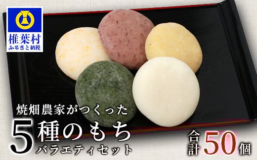 焼畑農家がつくった5種のお餅バラエティセットB(白もち よもぎもち とうきびもち あずきもち あわもち)【日本三大秘境の地「椎葉村」からお届け】送料無料 宮崎県 宮崎 椎葉村 椎葉 餅 雑穀 もち モチ セット 食べ比べ 焼き餅 焼餅 正月 お祝い 祝い 美味しい うまい やきもち もち米 焼きもち 白もち よもぎもち 蓬もち とうきびもち あずきもち 小豆もち あわもち 粟もち【YS-50】