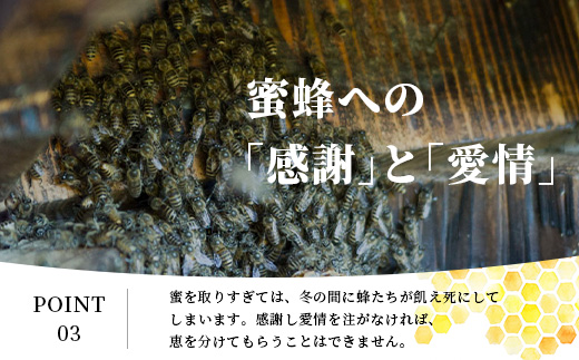 【無添加 非加熱】標高800m たっちゃんのこだわり蜂蜜【170g×1本】(送料無料 宮崎県 椎葉村 秘境 蜂蜜 はちみつ ハチミツ みつばち ミツバチ 伝統的 養蜂 国産 天然 百花蜜 巣箱 数量限定 季節 希少 170g 防災 備蓄) TN-04