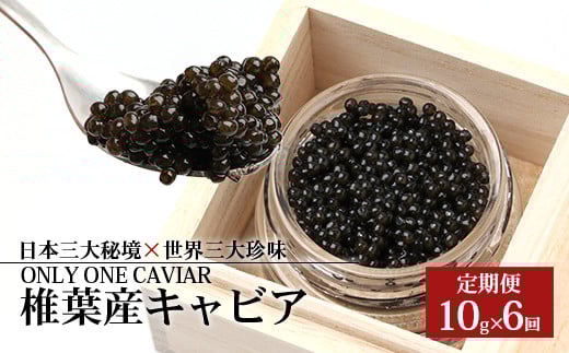 定期便 【桐箱入り】【6ヶ月お届け 合計60g(10g×6回)】HEIKE CAVIAR【世界三大珍味×日本三大秘境】［宮崎 椎葉 国産 定期便 チョウザメ キャビア 魚卵 卵 クリーミー お酒 魚介 珍味 加工品 冷凍 高級 高級食材 贅沢 お取り寄せ お取り寄せグルメ ディナー パーティー おつまみ グルメ ギフト 記念日 誕生日 プレゼント お祝い 贈り物 贈答 桐箱 希少］【SZ-108】