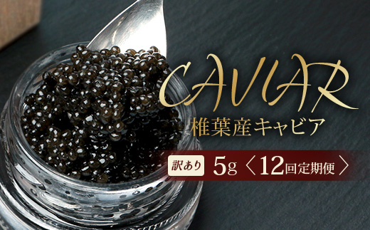 【12回定期便】【訳あり】 国産 キャビア HEIKE CAVIAR  5g × 12回 計60g 【世界三大珍味×日本三大秘境】［ 訳あり 宮崎 椎葉 国産 チョウザメ キャビア 定期便 定期 5g 60g 12回定期 魚卵 卵 酒 魚介 珍味 加工品 冷凍 高級 高級食材 贅沢 世界三大珍味 グルメ ギフト プレゼント 贈答 希少 人気 おすすめ 送料無料 ］SZ-115_12teiki