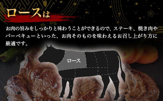 宮崎牛ロースステーキ 400g（200g×2枚） お試しステーキソース付き TK-98 [宮崎県 椎葉村 宮崎牛 和牛 黒毛和牛 牛肉 ぎゅうにく 牛 うし ぎゅう 肉 お肉 にく おにく ロースステーキ ロース ステーキ ステーキ肉 400g 精肉 せいにく 人気 おすすめ 送料無料]