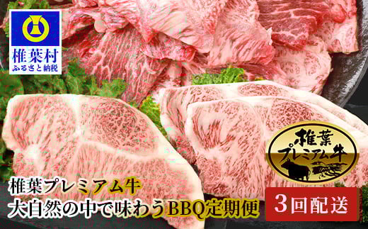 【定期便3回】総重量1.8kg 椎葉プレミアム牛 大自然の中で味わうBBQ定期便≪焼き肉・ステーキ≫［宮崎県 椎葉村 国産 国産牛 黒毛和牛 和牛 牛 牛肉 赤身 にく おにく 肉 お肉 サーロイン ステーキ バーベキュー やきにく 焼肉 冷凍 ごちそう 贈物 日本三大秘境］【TK-60】