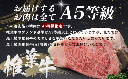 【希少な椎葉牛の赤身を贅沢に】宮崎県産 椎葉牛 ももスライス 500g  A5等級指定［送料無料 宮崎県 椎葉村 国産 国産牛  黒毛和牛 和牛 牛 牛肉 赤身 もも にく おにく 肉 お肉 a5 A5 すきやき すき焼き スライス 冷凍 ごちそう 贈物 日本三大秘境］【TK-27】
