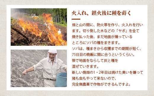 æ€èæã®çŒç蟲家ãã€ãã£ã è麊ç²ã¯ã©ãã«ãŒãæã¥ããã®çŒèåãéæç¡æ å®®åŽç æ€èæ æ€è æ¥æ¬äžå€§ç§å¢ ç§å¢ çŒç ããã¯ã ããã£ã㌠ã¯ã©ãã«ãŒ è麊 èéºŠç² ãã° ãã°ã è麊ç²ã¯ã©ãã«ãŒ ãã〠ããã èå ãèå çŒãèå ç¡æ·»å æäœã èªç¶ ã®ãã ãåç£ïŒœãYS-34ã