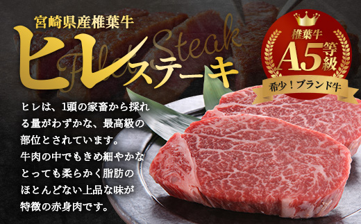 å®®åŽçç£ æ€èç ãã¬è 480g ã詊ãã¹ããŒããœãŒã¹ä»ã A5ççŽæå® ïŒ»å®®åŽç æ€èæ åœç£ åœç£ç 黿¯åç åç ç çè 赀身 ã«ã ãã«ã è ãè a5 A5 ã㬠ã¹ããŒã ããã«ã çŒè ããŒããã¥ãŒ å·å ãã¡ãã èŽç© æ¥æ¬äžå€§ç§å¢ïŒœãTK-24ã