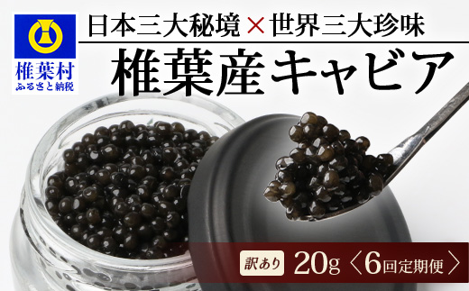 【6回定期便】【訳あり】 国産 キャビア HEIKE CAVIAR  20g × 6回 計120g 【世界三大珍味×日本三大秘境】［ 訳あり 宮崎 椎葉 国産 チョウザメ キャビア 定期便 定期 20g 120g 6回定期 魚卵 卵 お酒 魚介 珍味 加工品 冷凍 高級 高級食材 贅沢 世界三大珍味 グルメ ギフト プレゼント 贈答 希少 人気 おすすめ 送料無料 ］SZ-117_6teiki