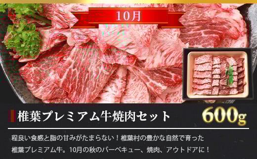 【定期便3回】総重量1.8kg 椎葉プレミアム牛 大自然の中で味わうBBQ定期便≪焼き肉・ステーキ≫［宮崎県 椎葉村 国産 国産牛 黒毛和牛 和牛 牛 牛肉 赤身 にく おにく 肉 お肉 サーロイン ステーキ バーベキュー やきにく 焼肉 冷凍 ごちそう 贈物 日本三大秘境］【TK-60】