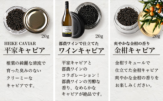 【世界三大珍味×日本三大秘境】HEIKE CAVIAR  3種食べ比べセット20g×3【産地直送】【簡易包装】［宮崎 椎葉 国産 きゃびあ キャビア ワイン ワインキャビア 金柑 金柑キャビア 魚卵 卵 世界三大珍味 加工品 冷凍 高級 高級品 贅沢 パーティー おつまみ グルメ ギフト 誕生日 プレゼント お祝い 贈り物 桐箱 希少］【SZ-131】