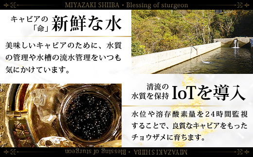 ã6åå®æäŸ¿ããèš³ããã åœç£ ãã£ã㢠HEIKE CAVIAR 10g à 6å èš60g ãäžçäžå€§çå³Ãæ¥æ¬äžå€§ç§å¢ã èš³ãã å®®åŽ æ€è åœç£ ãã§ãŠã¶ã¡ ãã£ãã¢ å®æäŸ¿ 宿 10g 60g 6å宿 éåµ åµ éä» çå³ å å·¥å å·å é«çŽ é«çŽé£æ èŽ
æ²¢ äžçäžå€§çå³ ãã€ãŸã¿ ã°ã«ã¡ ã®ãã ãã¬ãŒã³ã èŽç åžå° äººæ° ãããã éæç¡æ SZ-116_6teiki