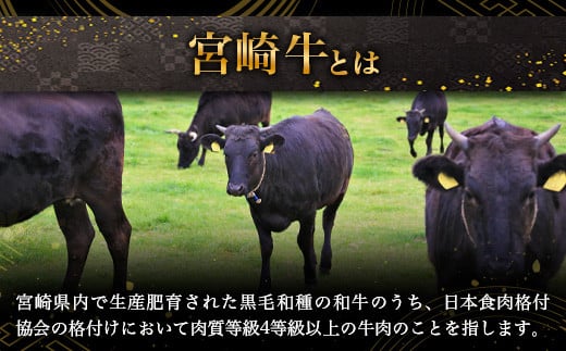 宮崎牛 切り落とし 1kg TK-93 [宮崎県 椎葉村 宮崎牛 和牛 黒毛和牛 牛肉 ぎゅうにく 牛 うし ぎゅう 肉 お肉 にく おにく スライス肉 精肉 切り落とし肉 切り落とし 赤身肉 霜降り肉 1kg 人気 おすすめ 送料無料]