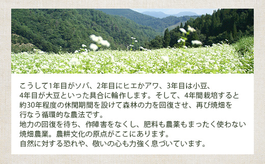椎葉村の焼畑農家がつくった よもぎクッキー【手づくりの焼菓子】［送料無料 宮崎県 椎葉村 椎葉 日本三大秘境 秘境 焼畑 やきはた くっきー クッキー よもぎ 蓬 よもぎクッキー おやつ おかし 菓子 お菓子 焼き菓子 無添加 手作り 自然 ギフト お土産］【YS-33】