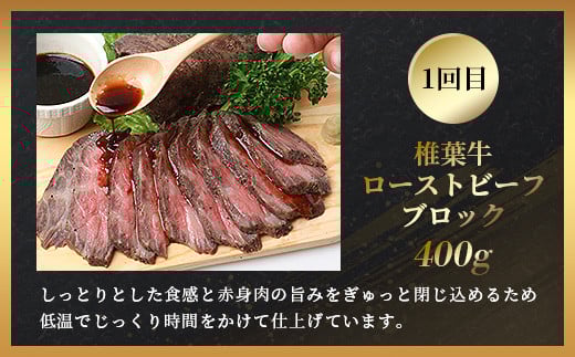 【定期便2回】総重量1kg 椎葉牛 ローストビーフとステーキの定期便 A5等級指定 ［宮崎県 椎葉村 国産 国産牛 黒毛和牛 和牛 牛 牛肉 赤身 にく おにく 肉 お肉 a5 A5 ステーキ サーロイン ローストビーフ ブロック肉 やきにく 焼肉 冷凍 ごちそう 贈物 日本三大秘境］【TK-64】