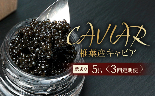 【3回定期便】【訳あり】 国産 キャビア HEIKE CAVIAR  5g × 3回 計15g 【世界三大珍味×日本三大秘境】［ 訳あり 宮崎 椎葉 国産 チョウザメ キャビア 定期便 定期 5g 15g 3回定期 魚卵 卵 お酒 魚介 珍味 加工品 冷凍 高級 高級食材 贅沢 世界三大珍味 おつまみ グルメ ギフト プレゼント 贈答 希少 人気 おすすめ 送料無料 ］SZ-115_3teiki