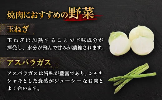 宮崎牛 焼肉セット 600g TK-97 [宮崎県 椎葉村 宮崎牛 和牛 黒毛和牛 牛肉 ぎゅうにく 牛 うし ぎゅう 肉 お肉 にく おにく 焼き肉 焼肉 やきにく 精肉 もも モモ肉 バラ バラ肉 600g 人気 おすすめ 送料無料]