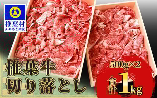 宮崎県産 椎葉牛 切り落とし 1kg 黒毛和牛 ［宮崎県 椎葉村 国産 国産牛 黒毛和牛 和牛 牛 牛肉 赤身 にく おにく 肉 お肉 すきやき すき焼き カレー 炒め物 冷凍 ごちそう 贈物 日本三大秘境］【TK-29】