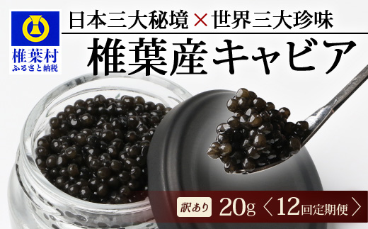 【12回定期便】【訳あり】 国産 キャビア HEIKE CAVIAR  20g × 12回 計240g 【世界三大珍味×日本三大秘境】［ 訳あり 宮崎 椎葉 国産 チョウザメ キャビア 定期便 定期 20g 240g 12回定期 魚卵 卵 魚介 珍味 加工品 冷凍 高級 高級食材 贅沢 世界三大珍味 グルメ ギフト プレゼント 贈答 希少 人気 おすすめ 送料無料 ］SZ-117_12teiki